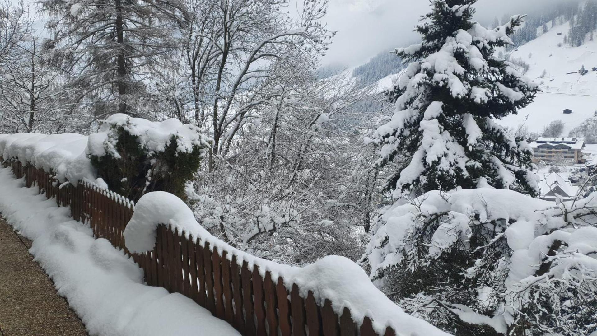 Pension Terra Neustift im Stubaital Exteriér fotografie